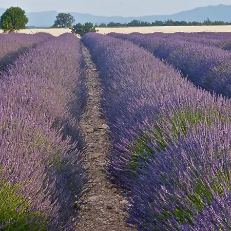 Coutelon, Havre De Paix En Pleine Nature Сasa de vacaciones *
