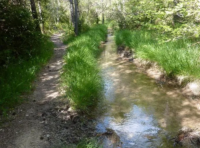 Coutelon, Havre De Paix En Pleine Nature